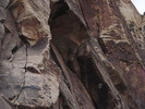 photo thumbnail #15
