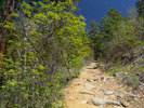 photo thumbnail #1