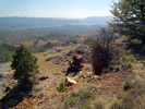 photo thumbnail #4