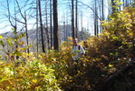 photo thumbnail #5