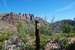 photo thumbnail #10