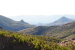 photo thumbnail #12