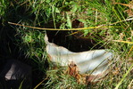 photo thumbnail #13