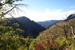 photo thumbnail #15