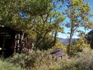 photo thumbnail #11