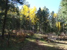 photo thumbnail #7