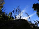photo thumbnail #7