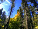 photo thumbnail #8