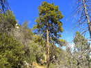 photo thumbnail #11