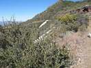 photo thumbnail #6