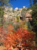 photo thumbnail #6