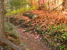 photo thumbnail #8