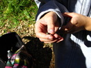 photo thumbnail #10