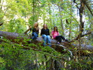 photo thumbnail #13