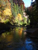photo thumbnail #15