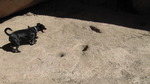photo thumbnail #3