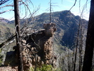 photo thumbnail #6