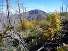 photo thumbnail #8