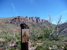 photo thumbnail #13