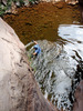 photo thumbnail #14