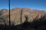 photo thumbnail #3