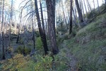 photo thumbnail #13