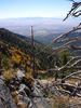 photo thumbnail #5