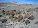 photo thumbnail #1