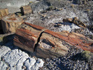 photo thumbnail #4