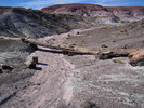 photo thumbnail #5