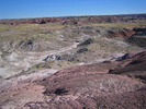 photo thumbnail #7