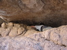 photo thumbnail #14