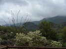 photo thumbnail #2