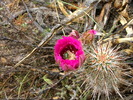 photo thumbnail #7