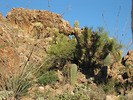 photo thumbnail #5