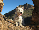 photo thumbnail #7