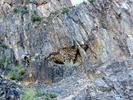 photo thumbnail #2