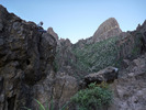 photo thumbnail #3