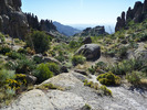 photo thumbnail #6