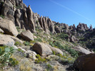 photo thumbnail #7