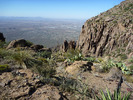 photo thumbnail #8