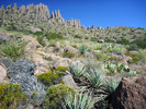 photo thumbnail #15