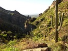 photo thumbnail #6