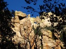 photo thumbnail #15