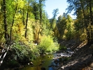 photo thumbnail #7