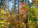 photo thumbnail #8