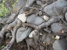 photo thumbnail #11