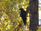 photo thumbnail #12