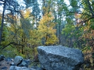 photo thumbnail #15