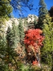 photo thumbnail #9